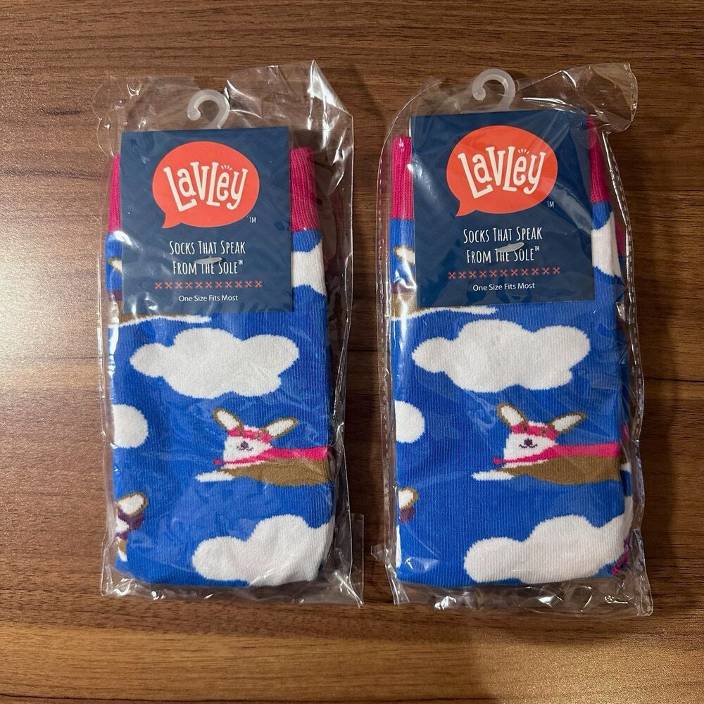 Lavley Corgi Superhero One Size Socks Set of 2